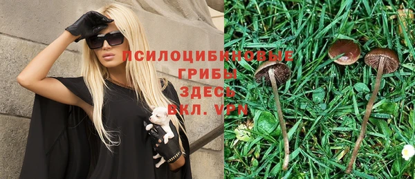стаф Инсар