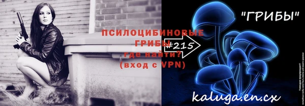 стаф Инсар