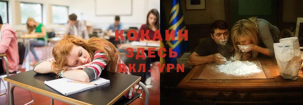 стаф Инсар