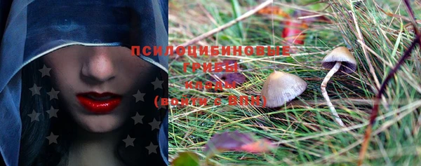 PSILOCYBIN Инта