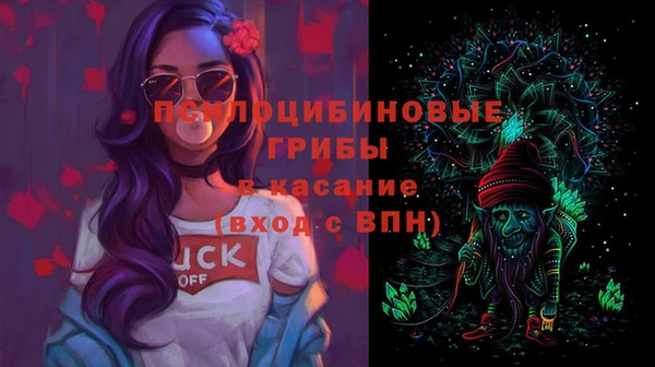 стаф Инсар