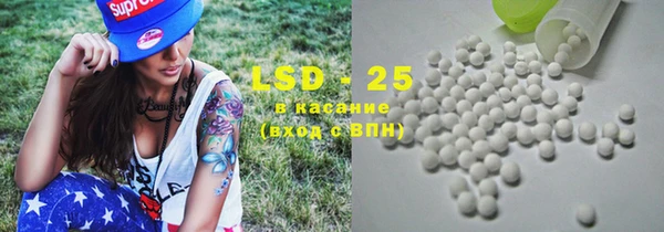 стаф Инсар