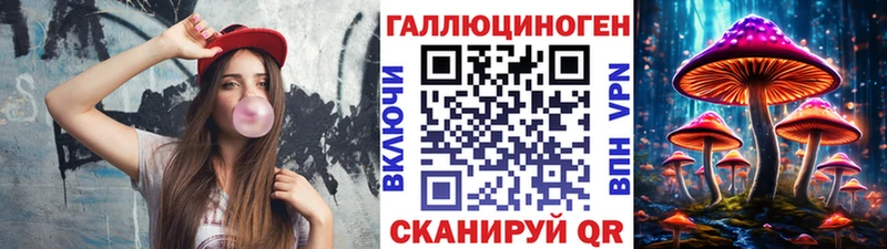 Купить  Коряжма  Псилоцибиновые грибы Psilocybine cubensis 